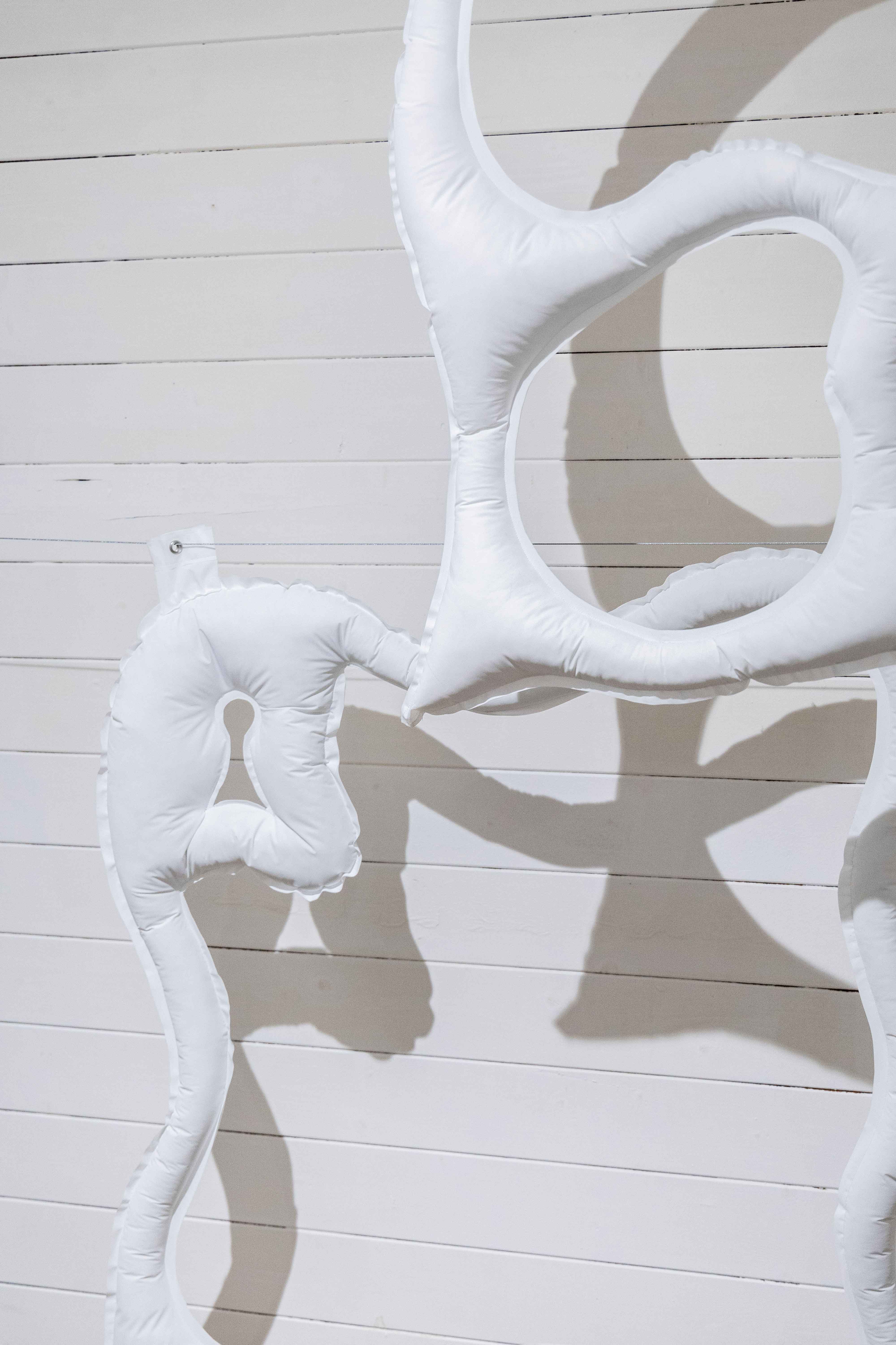 NinaBrugger_exposition_espace_annexe