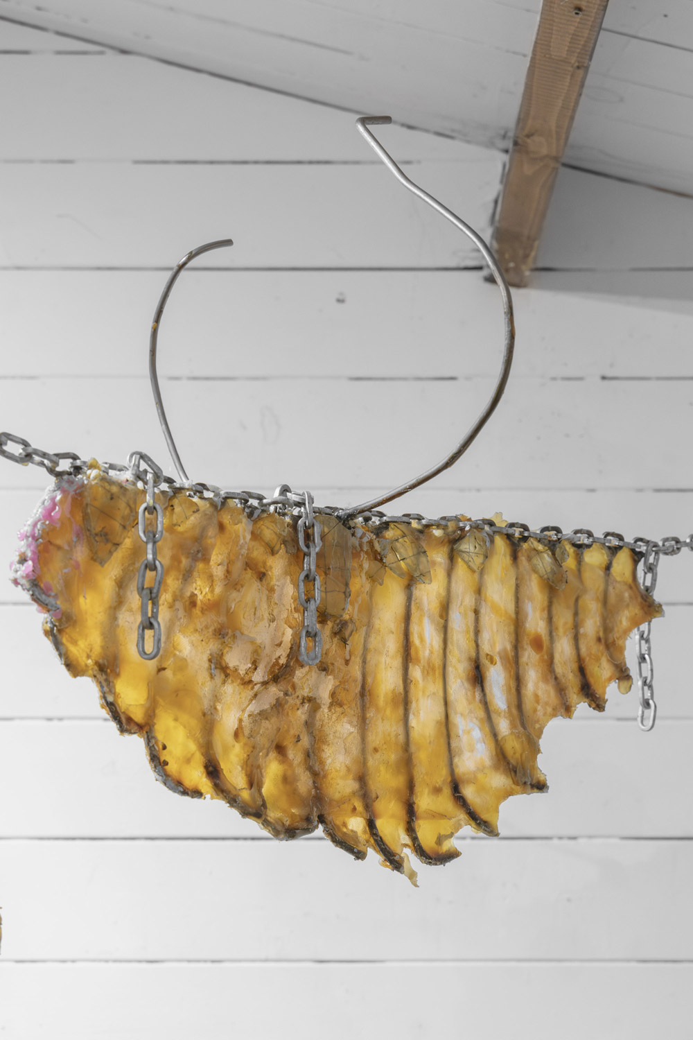 'Ffffrrrannnssstt' by June Schade