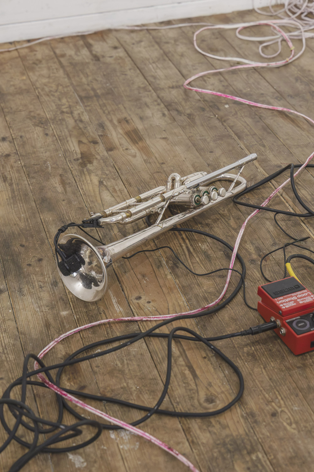 'Ffffrrrannnssstt' by June Schade