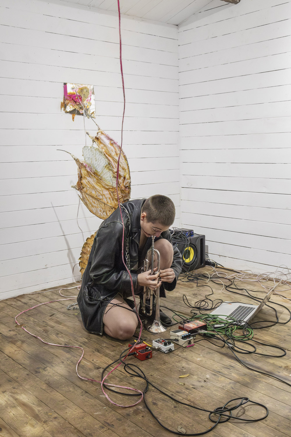 'Ffffrrrannnssstt' by June Schade