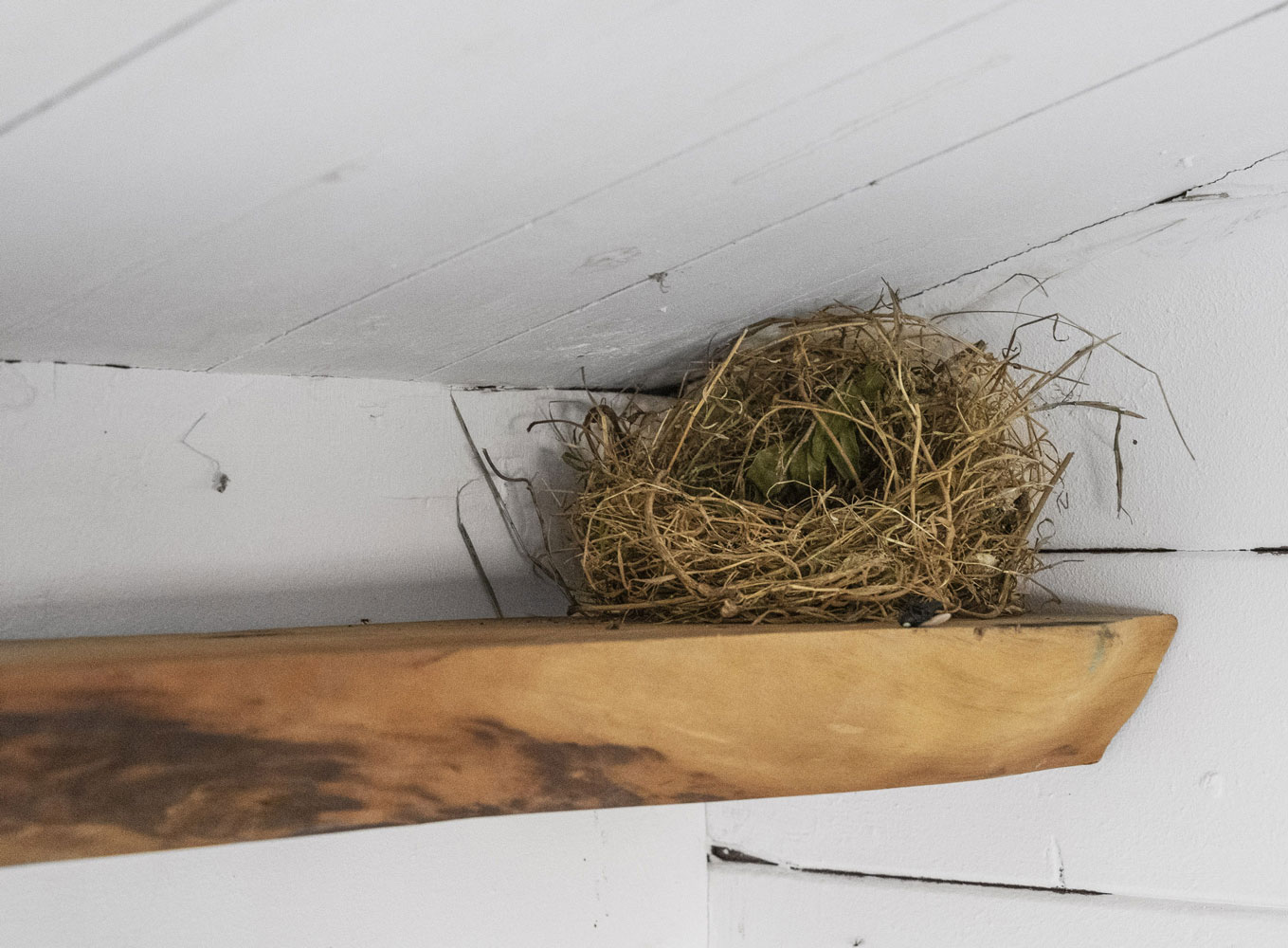 'Les objets parlent quand on ne regarde pas' by Sophie Conus